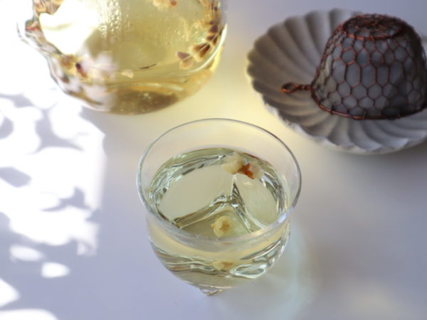 梅の花茶